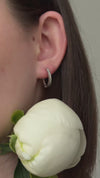 Сережки колос